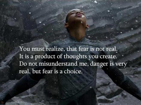 Fear vs danger